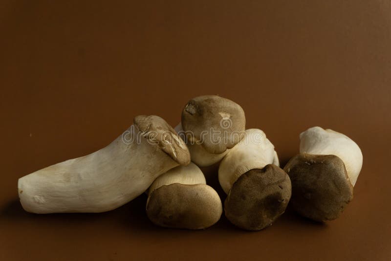 Eryngii Pleurotus μανιταριών στρειδιών βασιλιάδων στο καφετί υπόβαθρο, Pleurotus Eryngii ( Στρείδι Mushroom) βασιλιάδων στοκ φωτογραφίες Eryngii Pleurotus μανιταριών στρειδιών βασιλιάδων στο καφετί υπόβαθρο, Pleurotus Eryngii ( Στρείδι Mushroom) βασιλιάδων στοκ φωτογραφίες