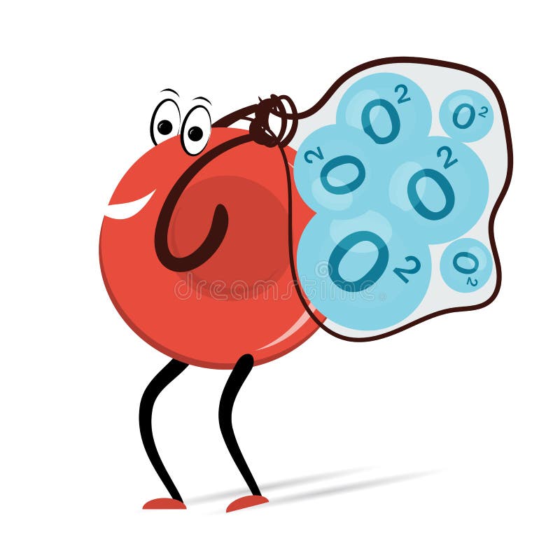 erythrocyte carries oxygen molecules bag vector illustration drawing red blood cell cartoon use medicine infographic 80017071