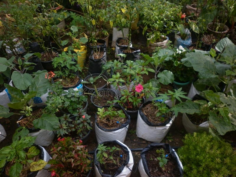 Es gibt mehr Blüten und Gemüse und Wasserweg-System stockfotos Es gibt mehr Blüten und Gemüse und Wasserweg-System stockfotos