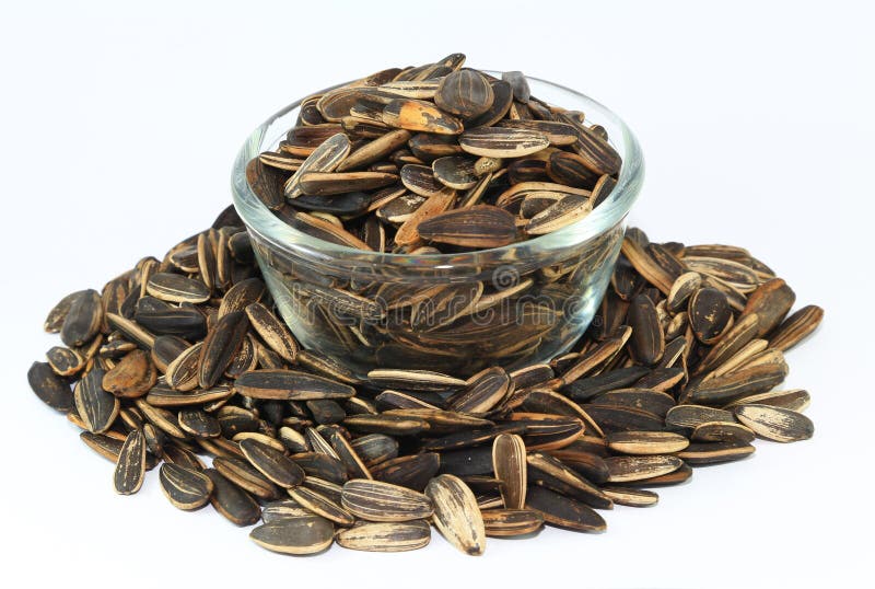 Sonnenblumenkerne lizenzfreie stockbilder