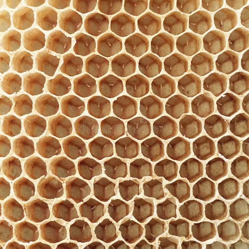 Viti DIN 961, Acciaio 8.8 Grezzo, Passo Fine - Würth Italia - Foto 11