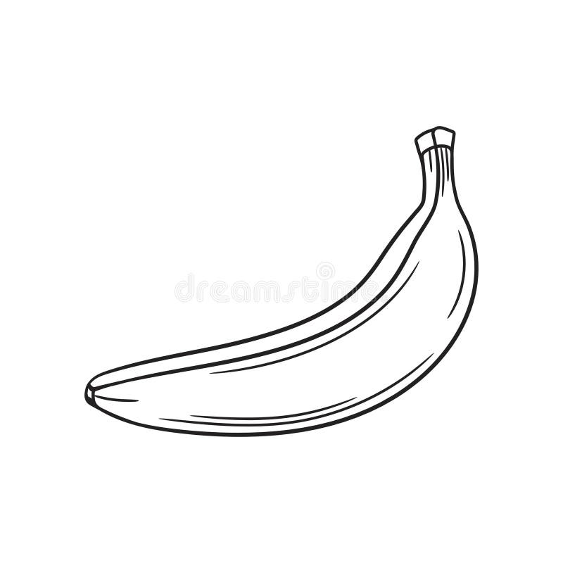 Vetores de Banana Fruta Colorir Página Livro Ilustração Outline Vector  Download e mais imagens de Banana - iStock