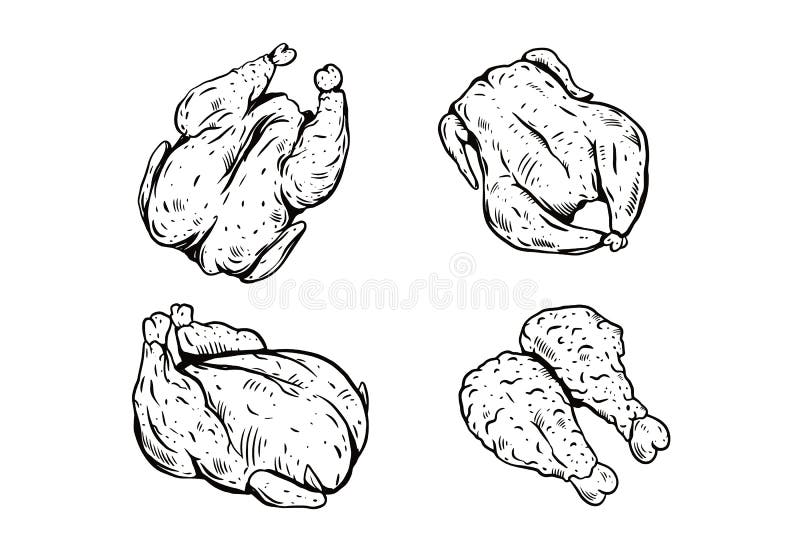 Desenho Animado De Galinha Galinha Galinha Ilustração do Vetor - Ilustração  de cômico, alimento: 180765785