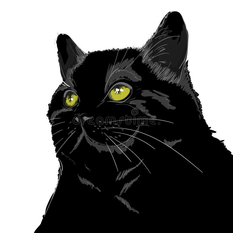 Desenho De Cabeça Gato Com Olhos Grandes Em Um Esboço Vetor PNG , Desenho  De Gato, Desenho De Asa, Desenho De Olhos Imagem PNG e Vetor Para Download  Gratuito