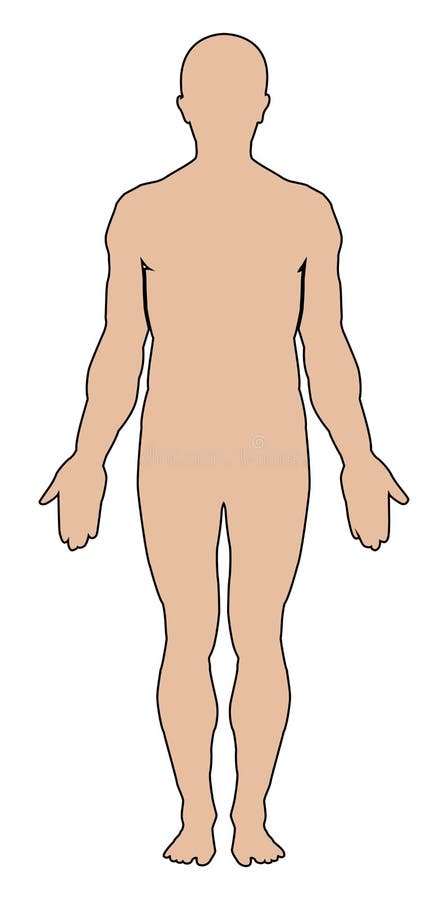 Vetores de Linha Ícones Do Corpo Humano Sinais Jogo Do Vetor Conceito Da Ilustração Do Esboço e mais imagens de Adulto - iStock