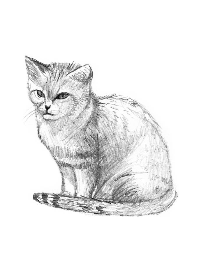 Esboço Da Página Da Coloração Do Gato Macio Dos Desenhos Animados Livro  Para Colorir Para Crianças Ilustração do Vetor - Ilustração de gatinho,  pintura: 73927272