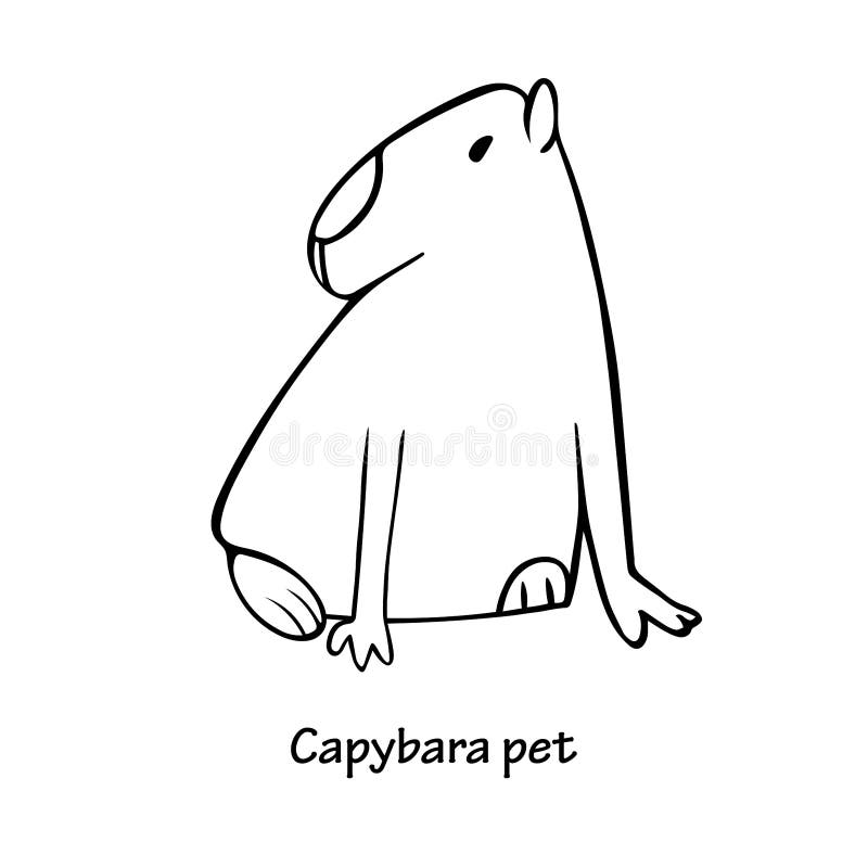 Capybara Vetores, Ícones e Planos de Fundo para Baixar Grátis