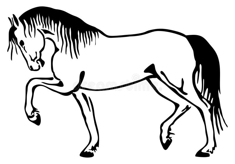 A horse walks jauntily. Vector sketch. A horse walks jauntily. Vector sketch