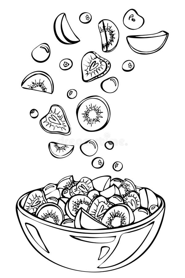 Esboço do vetor da salada de fruto do verão ilustração stock Esboço do vetor da salada de fruto do verão ilustração stock