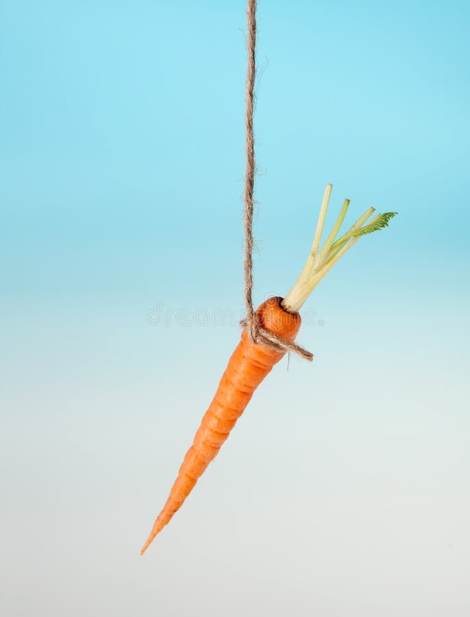 Esca della carota su una stringa