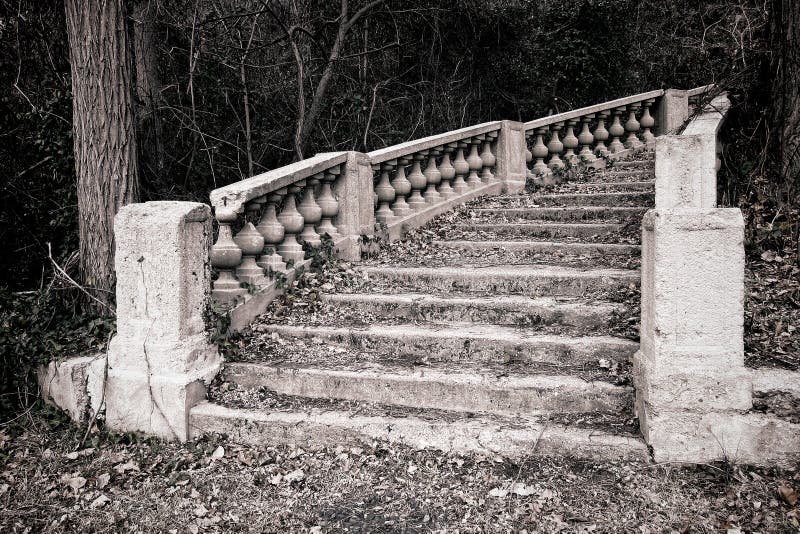 Escadaria monumental abandonada em madeiras Overgrown
