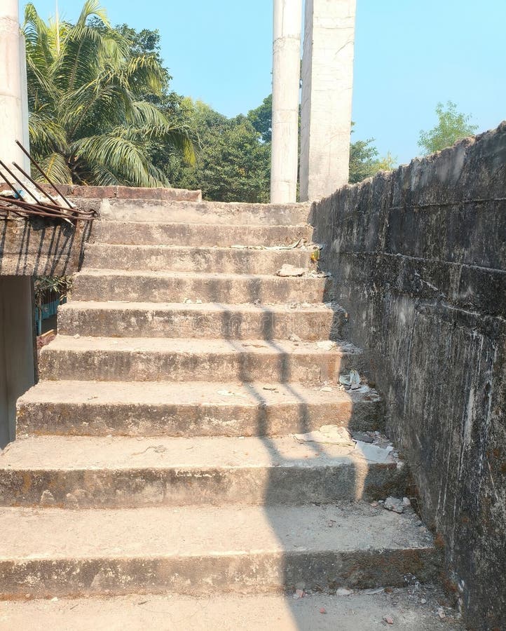 Escadas de betão que levam a um terraço com palmeiras fotografia de stock royalty free