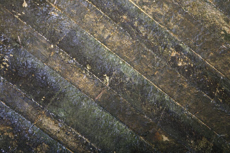 Escadas Molhadas Fotografia de Stock Royalty Free