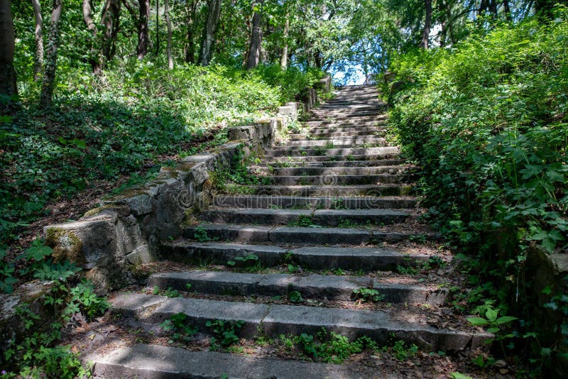 Escadas negligenciadas velhas da pedra no trajeto velho da floresta no parque da cidade imagem de stock Escadas negligenciadas velhas da pedra no trajeto velho da floresta no parque da cidade imagem de stock