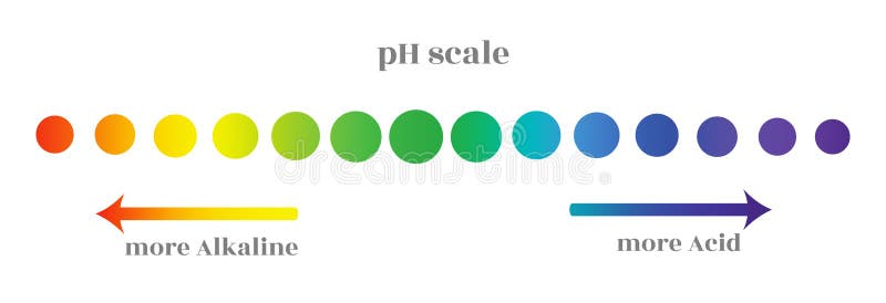 Escala del pH con la gradación de diversos niveles de la acidez del ambiente, adornada en círculos con un color libre illustration Escala del pH con la gradación de diversos niveles de la acidez del ambiente, adornada en círculos con un color libre illustration