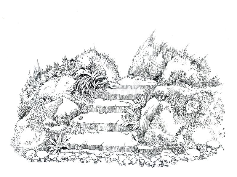 Escalera En El Jardín Viejo Matorrales De La Hierba Y De Las Flores, Dibujo  De La Tinta Stock de ilustración - Ilustración de hierba, flores: 150404768