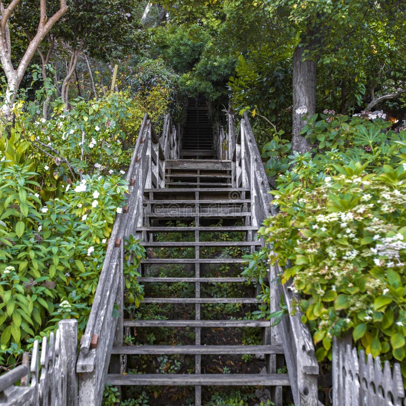 🥇 Vinilos decorativos puertas escalera en el bosque 🥇