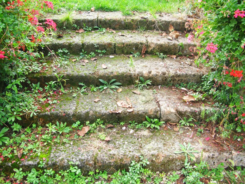 Escaleras del jardín