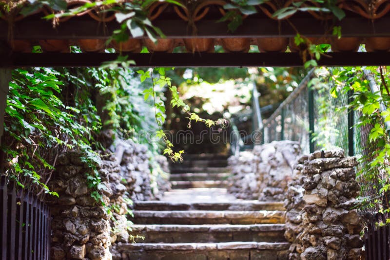 Escalier gris en pierre menant à un beau jardin vert avec des usines Jardin exotique en Turquie photographie stock libre de droits Escalier gris en pierre menant à un beau jardin vert avec des usines Jardin exotique en Turquie photographie stock libre de droits