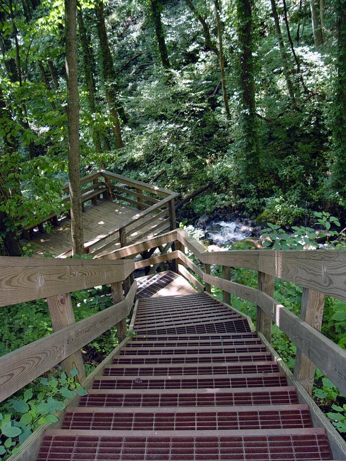 Escaliers dans les bois images stock Escaliers dans les bois images stock