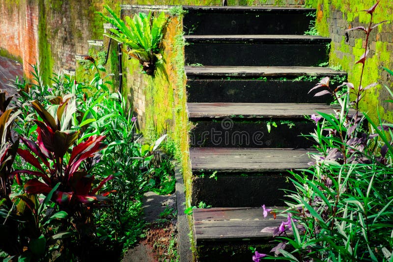 Escaliers en bois superficiels par les agents de maison tropicale abandonnée images libres de droits Escaliers en bois superficiels par les agents de maison tropicale abandonnée images libres de droits