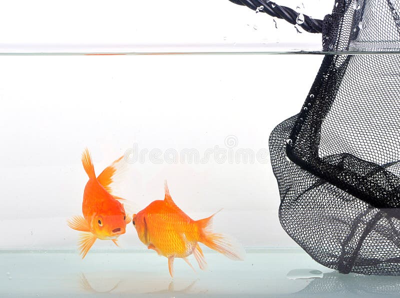 Escape royalty free stock photos Escape royalty free stock photos