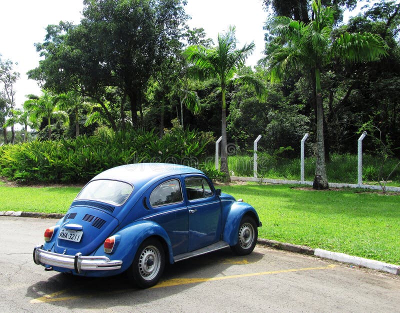Escarabajo en el Brasil imágenes de archivo libres de regalías Escarabajo en el Brasil imágenes de archivo libres de regalías