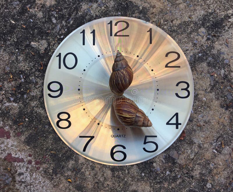 Escargot deux sur le visage rond de montre, comme une heure et des mains minutieuses, o’clock cinq Sur le plancher photo stock Escargot deux sur le visage rond de montre, comme une heure et des mains minutieuses, o’clock cinq Sur le plancher photo stock