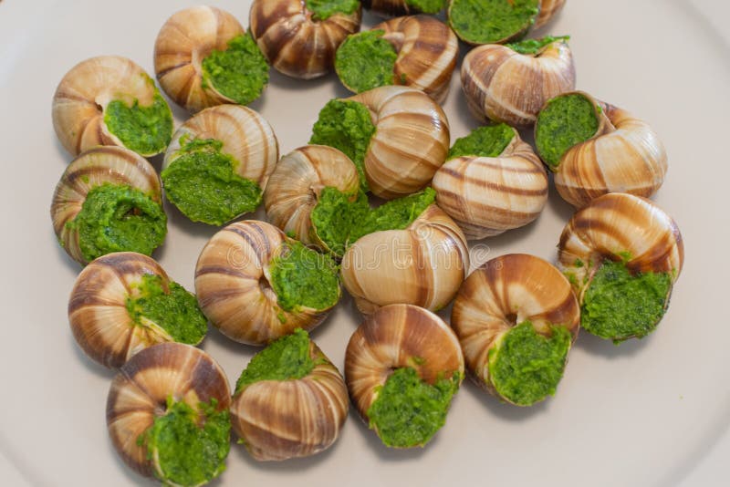 239 Escargot Served Photos Free Royalty Free Stock Photos From Dreamstime