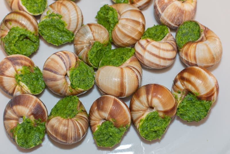 1 527 Restaurant Escargot Photos Free Royalty Free Stock Photos From Dreamstime