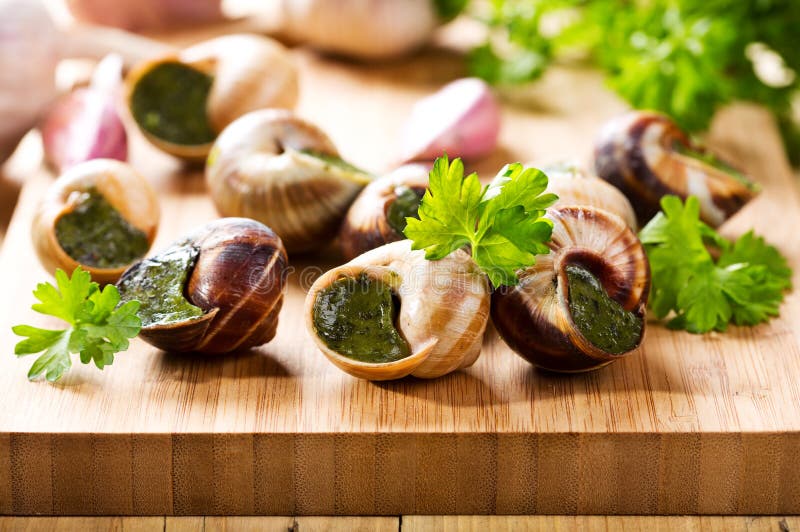 Escargots avec le persil photographie stock Escargots avec le persil photographie stock