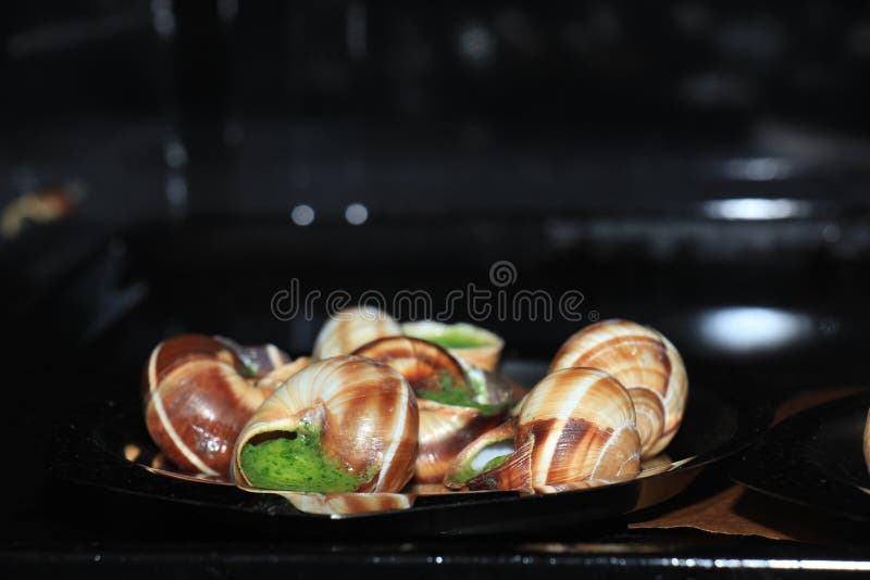 Escargots de Bourgogne- snails stuffed with herbs and oil. An exquisite  French dish of fried snails. 16696451 Stock Photo at Vecteezy