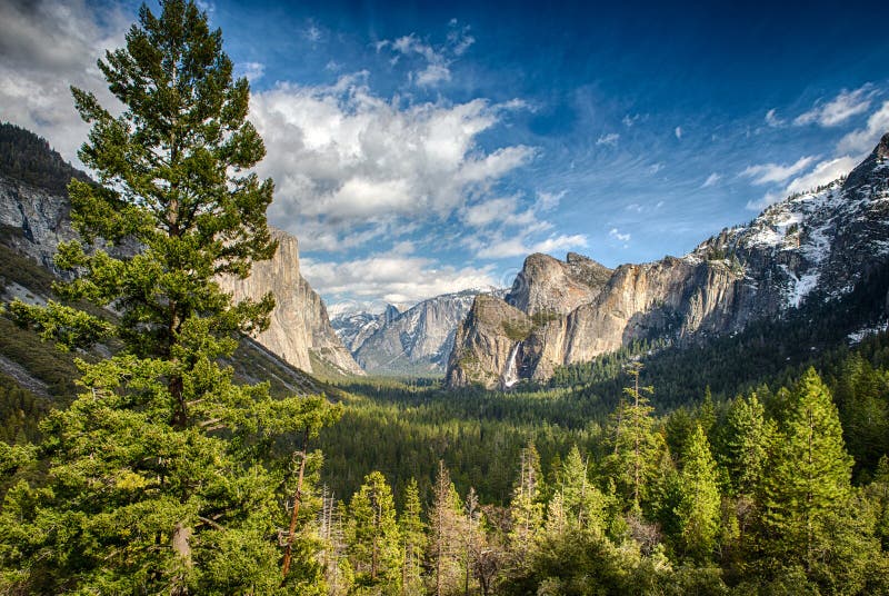 Escave um túnel a vista no parque nacional de Yosemite