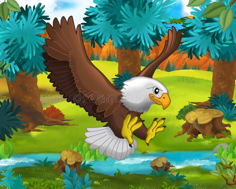 Escena De La Historieta - Animales Salvajes De América - águila - Mapache  Stock de ilustración - Ilustración de ilustraciones, acortar: 50091365