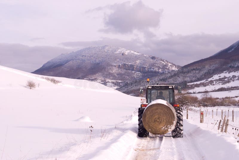 Escena de la montaña del invierno con el granjero en el tractor. imagen de archivo Escena de la montaña del invierno con el granjero en el tractor. imagen de archivo