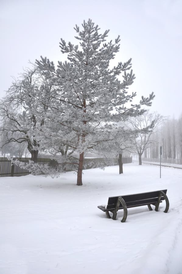 Escena de la nieve imagen de archivo libre de regalías Escena de la nieve imagen de archivo libre de regalías