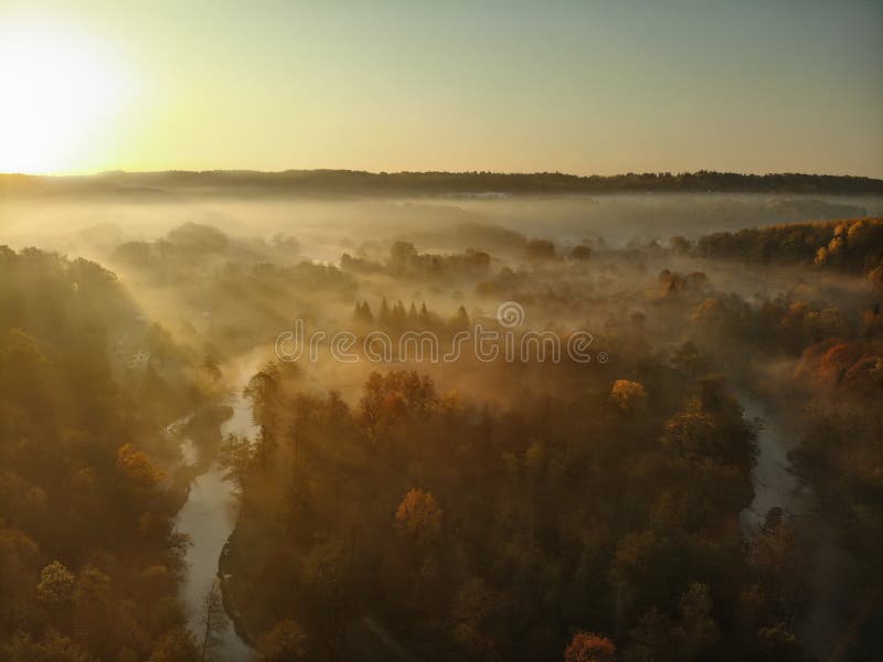 Escena de niebla hermosa del bosque en otoño con follaje anaranjado y amarillo Opinión aérea de la madrugada de árboles y del río fotos de archivo Escena de niebla hermosa del bosque en otoño con follaje anaranjado y amarillo Opinión aérea de la madrugada de árboles y del río fotos de archivo