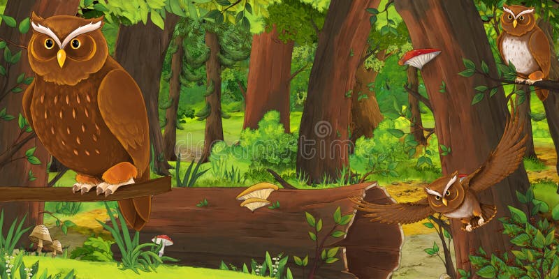 Escena del verano de la historieta con los búhos profundos y algún otro pájaro - nadie del bosque y de los pájaros en escena ilustración del vector Escena del verano de la historieta con los búhos profundos y algún otro pájaro - nadie del bosque y de los pájaros en escena ilustración del vector