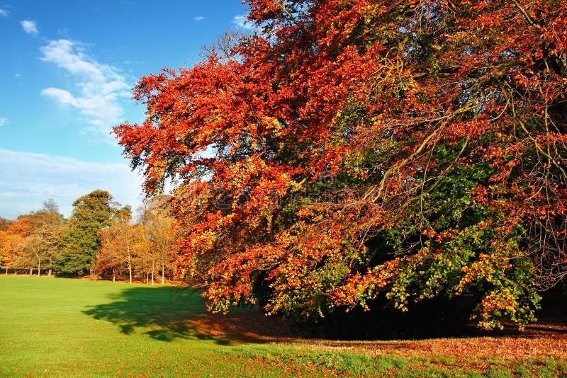 Escena hermosa del otoño foto de archivo Escena hermosa del otoño foto de archivo