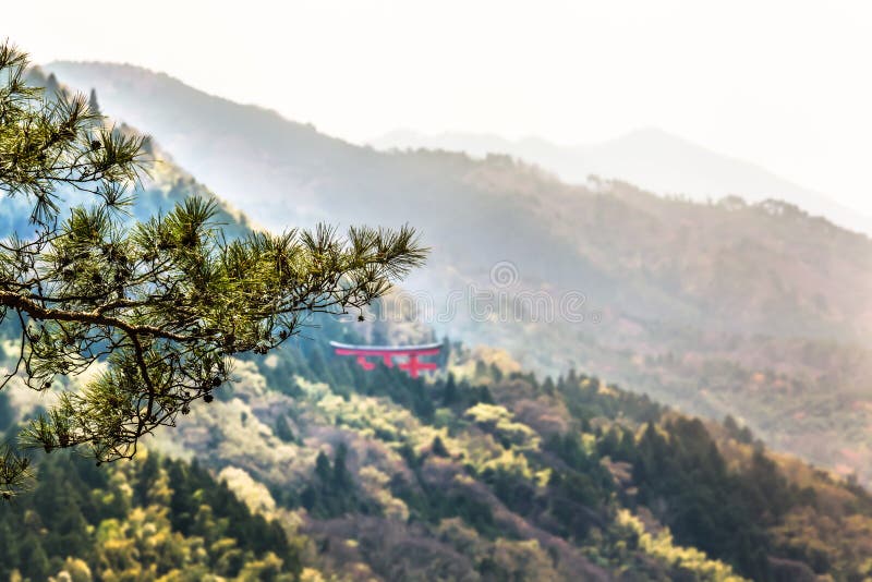 Japanese torii gate at background inside a forest at mountain hills. Japanese torii gate at background inside a forest at mountain hills