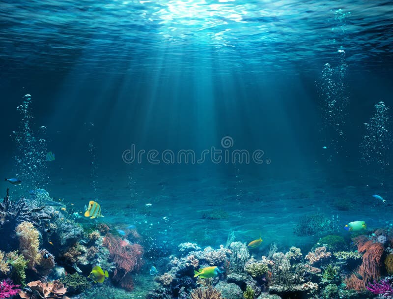 Escena subacuática - fondo del mar tropical con el filón