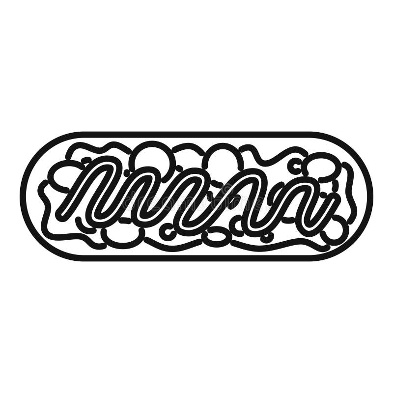 Escherichia coli bacteria showing nucleoid inside cell membrane royalty free illustration