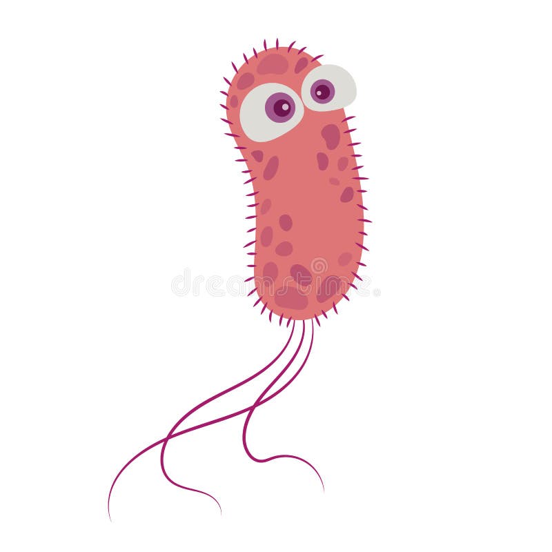 Escherichia Coli Structure Diagram Stock Vector Illustration Of Medical Diagram