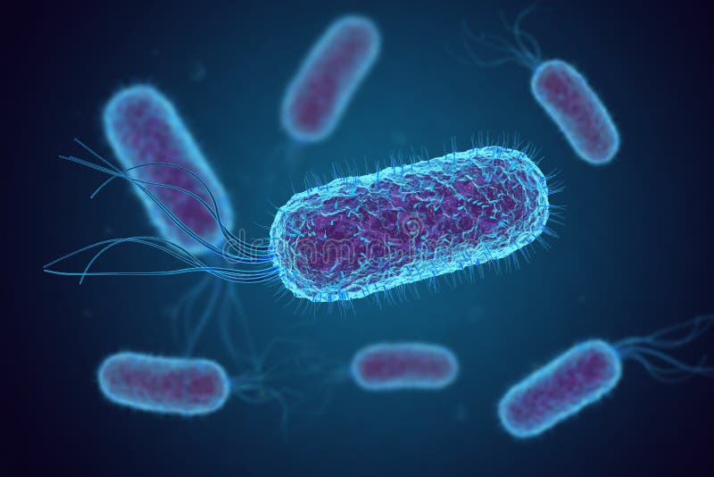 Escherichia Coli E. Coli. bacteria cells under microscope