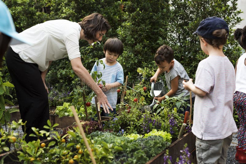 Escola do professor e das crianças que aprende a jardinagem da ecologia