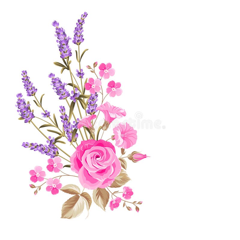 Single rose bouquet. Gentle vintage card with hand drawn floral wreath in watercolor style of lavender. Vector illustration. Single rose bouquet. Gentle vintage card with hand drawn floral wreath in watercolor style of lavender. Vector illustration.