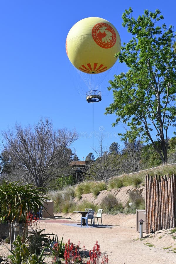 san diego zoo safari park balloon ride