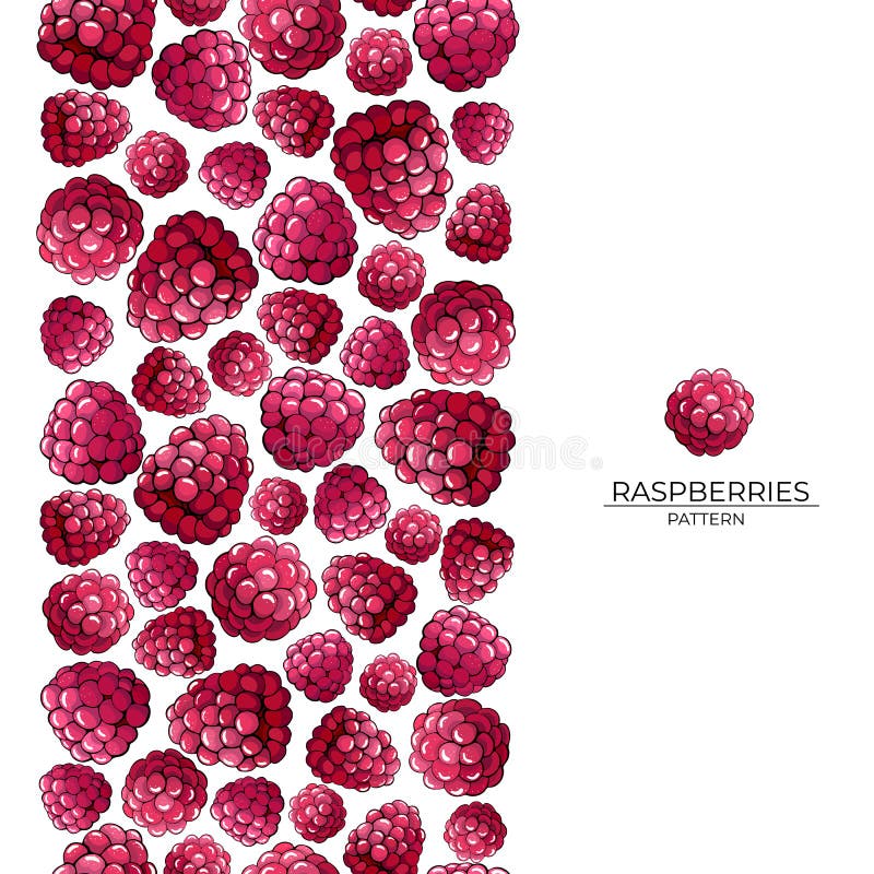 Escova sem emenda de bagas cor-de-rosa da framboesa em um fundo branco ilustração royalty free Escova sem emenda de bagas cor-de-rosa da framboesa em um fundo branco ilustração royalty free