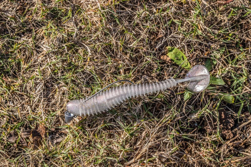 Escrementi di pesca a terra fotografia stock libera da diritti