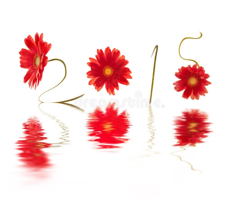 2015, written with red gerberas flower stems, water reflection. 2015, written with red gerberas flower stems, water reflection